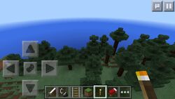 75 Minecraft Pocket Edition Images, Stock Photos, 3D objects