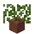 Potted Leaves.png
