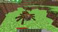 The original spider in 0.26 SURVIVAL TEST development because Markus Persson made it black with red eyes before releasing that version.
