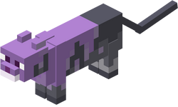 Chat Le Minecraft Wiki Chat Le Minecraft Wiki
