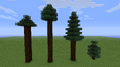 Comparison of mega spruce and mega pine sizes from different biomes, left to right: old growth pine taiga, old growth spruce taiga, and a regular spruce tree.