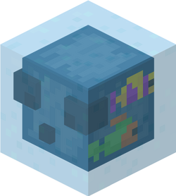 Slime parecido com água com peixe tropical nadando nele (chamado de slime tropical) confirmado para Minecraft Earth.