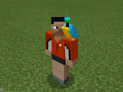 Parrot Official Minecraft Wiki Parrot Official Minecraft Wiki