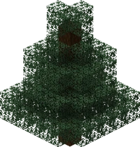 Spruce Tree
