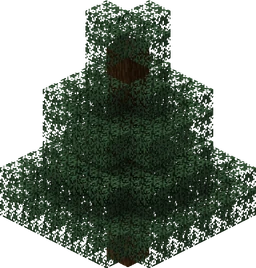 Spruce Tree