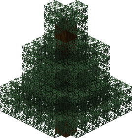  Spruce