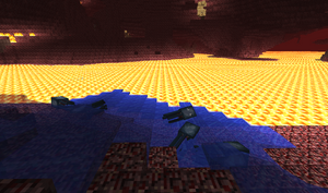 Squidsandwaterinnether