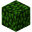 Oak Leaves (fast) JE2 BE4.png