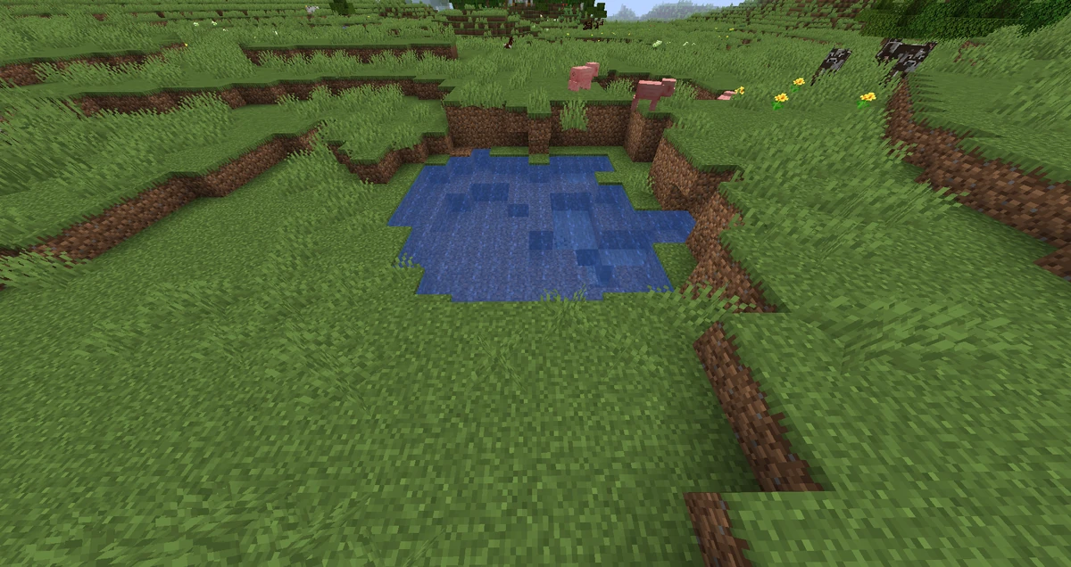 Water lake – Minecraft Wiki image.