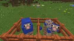Sheep Color Overlay.jpg