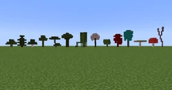 All of the trees and tree-like structures in the game as of 1.16.