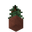 Potted Spruce Sapling UNKVER2 (facing NWU).png