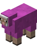 Magenta Sheep JE3