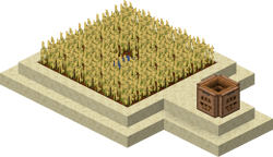 Desert Farm 2