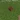 Flower Pot BE