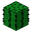 Cactus BE3.png