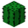 Cactus JE2 BE1.png