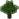 Oak JE7