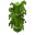 Small Leaves Old Bamboo BE1.png