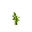 Stem Age 5 JE3.png
