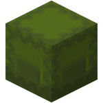 Green Shulker Box