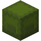 Green Shulker Box
