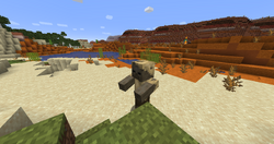 A naturally spawned husk in a desert biome.