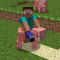 A player riding a pig (before Beta 1.8).