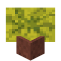 Potted Melon.png