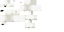 Polar Bear (texture)