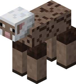 Sheared Flecked Sheep