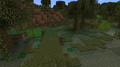 Sugar cane generated in a swamp biome.