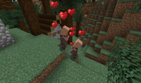 VillagerInLove