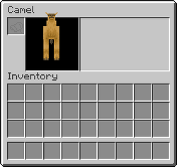 Camel
