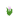 Pink Tulip JE6 BE1