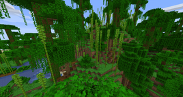 Bamboo Jungle Hills