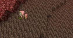 Nether blocks
