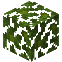 Plains