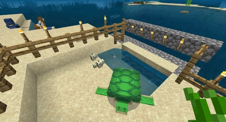 Experimental turtle farm