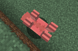 Pig – Minecraft Wiki