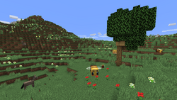 Mountain Meadows.png