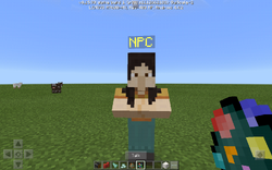 Npc Official Minecraft Wiki