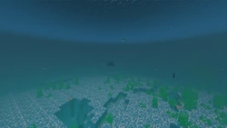 Underwater POV with Vibrant Visuals enabled.