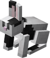 Black & White Rabbit.png
