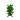 Jungle Sapling JE6 BE1
