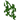 Vines (N) JE1