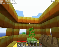 Classic 0.26 SURVIVAL TEST video 2