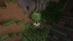 Image posted by Jeb over Twitter posted to Imgur.