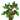 Oak Sapling (texture) JE5 BE3