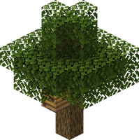 Oak Official Minecraft Wiki Oak Official Minecraft Wiki
